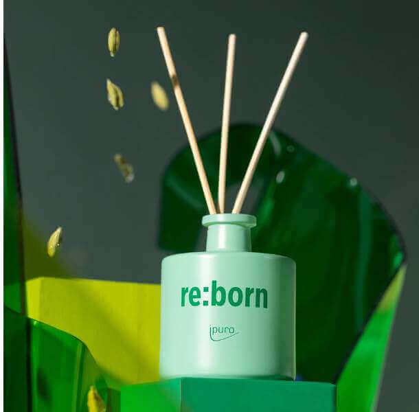 dišava za dom ipuro We are Re:born